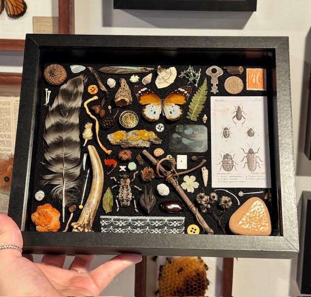 vintage & nature themed I-spy frame workshop (Dec 15th 5:30pm)